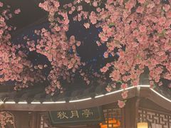 -荷塘秋月·本帮江浙菜(国权路店)