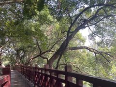 -乌山风景区