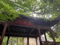 -杭州半山国家森林公园