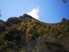 -青峰峡国家森林公园