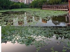 -龙头寺公园