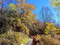 -玉渡山自然风景区