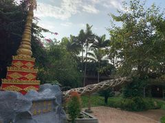 -瑞丽独树成林风景区