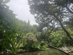-叶家花园