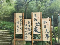 -重庆园博园