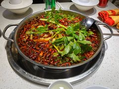 -蛙蛙鸡冷锅鱼(驷马桥店)