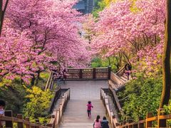 -桃花涧