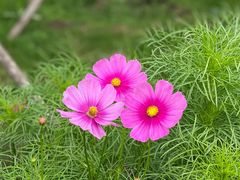 -长春公园(普阳街道)