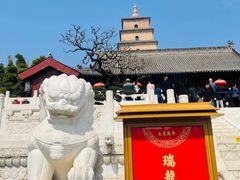-大慈恩寺(大雁塔)