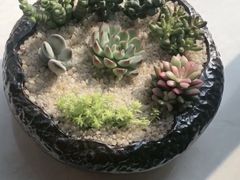 -郑庄脂渣海鲜楼(九水路店)