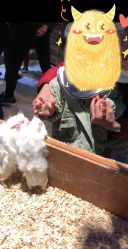 点击看大图 -酷嗒动物文化乐园(cutezoo西溪乐天城店)