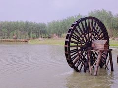 -合肥滨湖国家森林公园