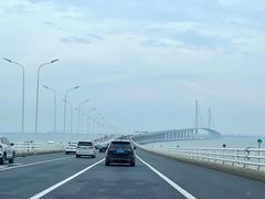 -东平国家森林公园