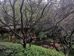 -杭州半山国家森林公园