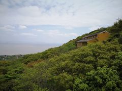 -普陀山慧济禅寺