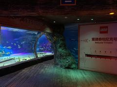 -沈阳海洋探索中心