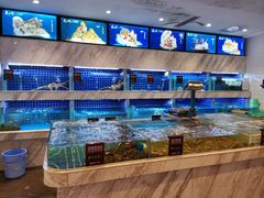 水产区-夜上海(上元大街店)