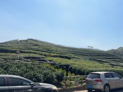 -龙坞茶村