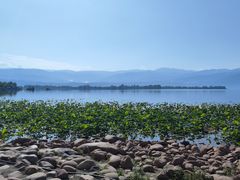 -西昌邛海湿地