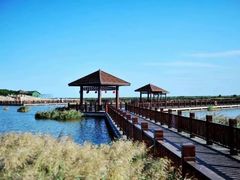 -南大港湿地风景区