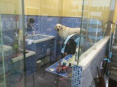 -瑞鹏宠物医院·内科·中兽医·骨科(苗圃店)