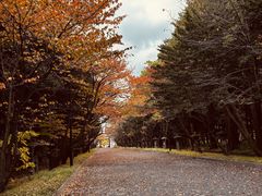 -芸山季·云南野生菌火锅(人民广场来福士店)