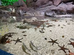 -福州罗源湾海洋世界旅游区