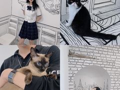 -白夜2D咖啡馆