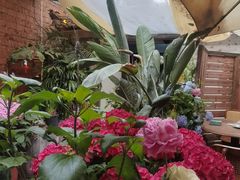-小喜客·云南特色菜(纳西庭院店)