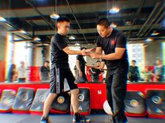 -极斗-IKMF马伽术·格斗运动学院(东直门店)