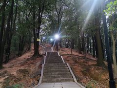 -红花山公园