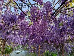 -龙潭生态旅游度假区