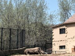 -大连森林动物园