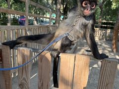 -水上乐园·欢乐世界