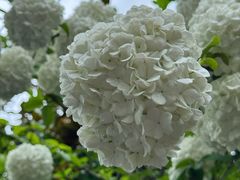 -白塘生态植物园