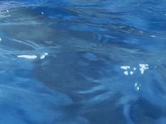 -宝安体育馆游泳馆