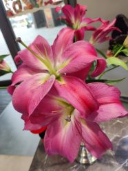 -Cindy Jewelry·钻戒·彩色宝石