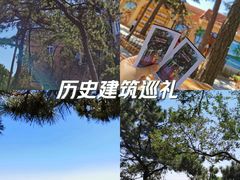 -八大关景区