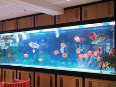 -弘安丽水温泉酒店