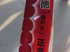 -和禄德冰糖葫芦