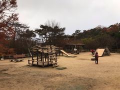 -神户市立六甲山牧场