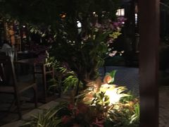 -Dash Teak House