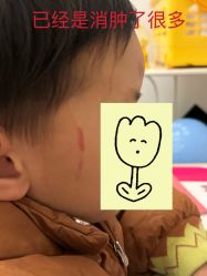-反弹蹦床公园·亲子乐园·团建·派对(中庚漫游城店)