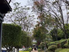 -五缘湾湿地公园