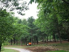 -国家植物园南园