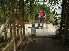 景点-观光南瓜园