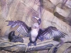 -波塞冬旅游度假区