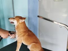 -汪说喵讲宠物乐园宠物酒店(红星美凯龙店)