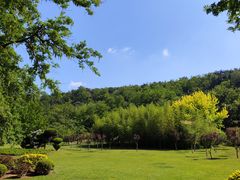 -棒棰岛宾馆景区