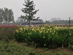 -汉长安城未央宫国家考古遗址公园